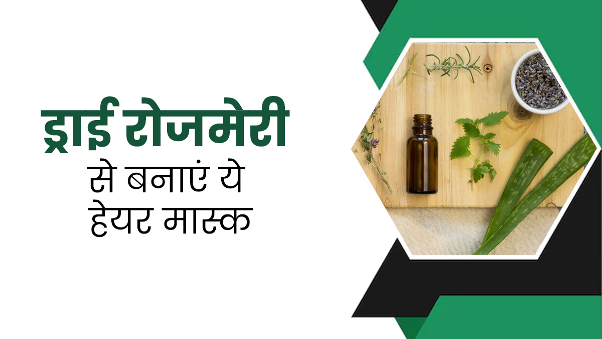 बालों की हेल्दी ग्रोथ के लिए लगाएं ड्राई रोजमेरी से बने ये 4 हेयर मास्क, जानें बनाने का तरीका